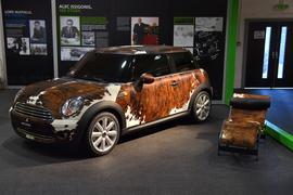Mini Usa News